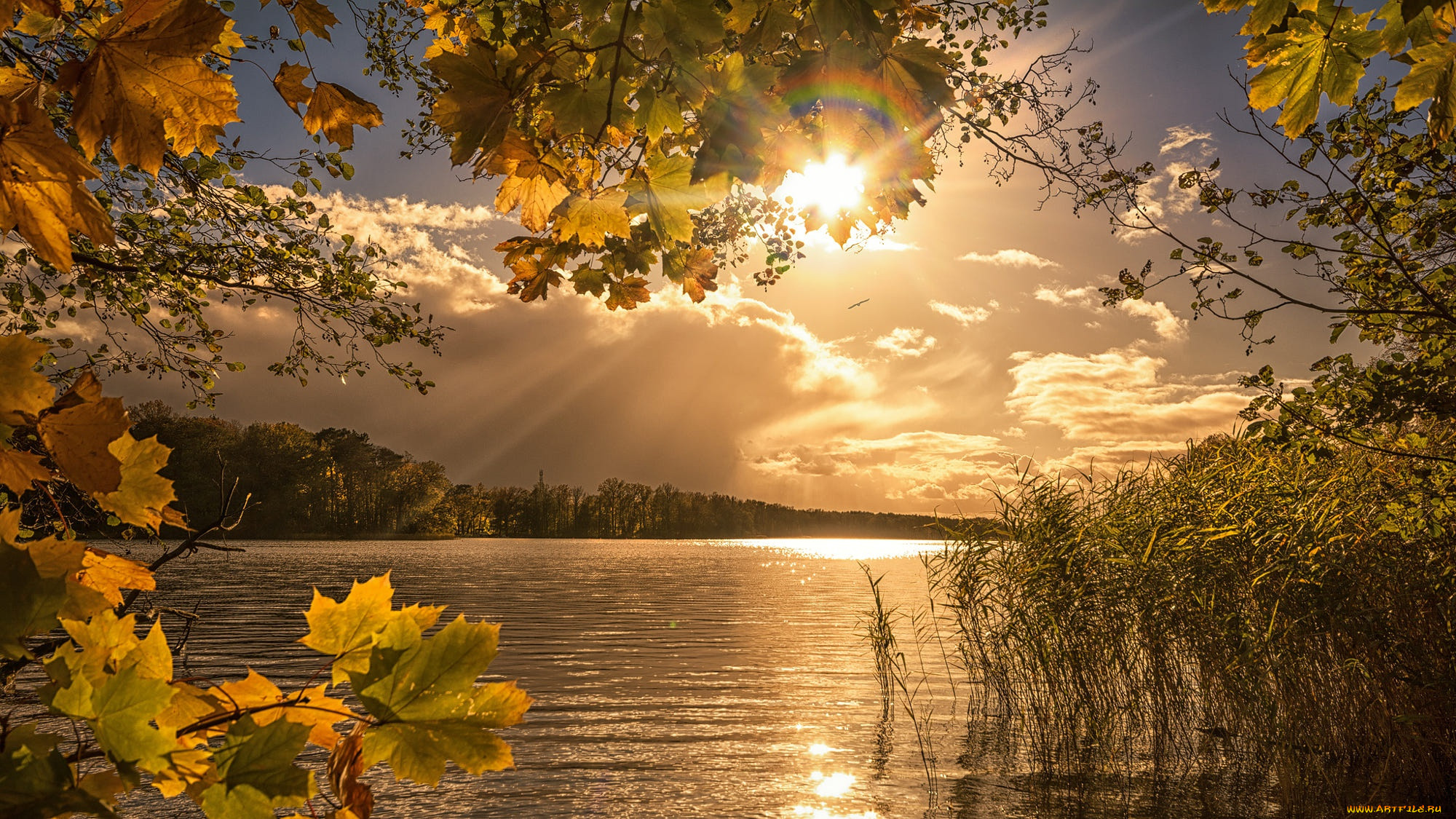 �������, ����, �����, ������